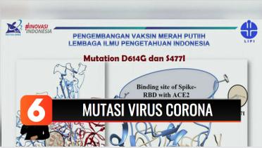 Peringatan! Mutasi Corona D614G Ada di Jateng dan Yogyakarta