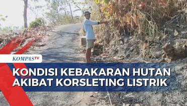 Kondisi Kebakaran Hutan Jati di Kulonprogo yang Diakibatkan Korsleting Listrik