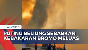 Puting Beliung Terjadi di Tengah Kebakaran Bukit Teletubbies Bromo