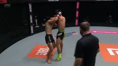 One Championship - Fists Of Fury
