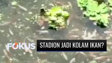 Viral, Lapangan Stadion GBLA di Bandung, Jawa Barat, Dipenuhi oleh Ikan-Ikan | Fokus