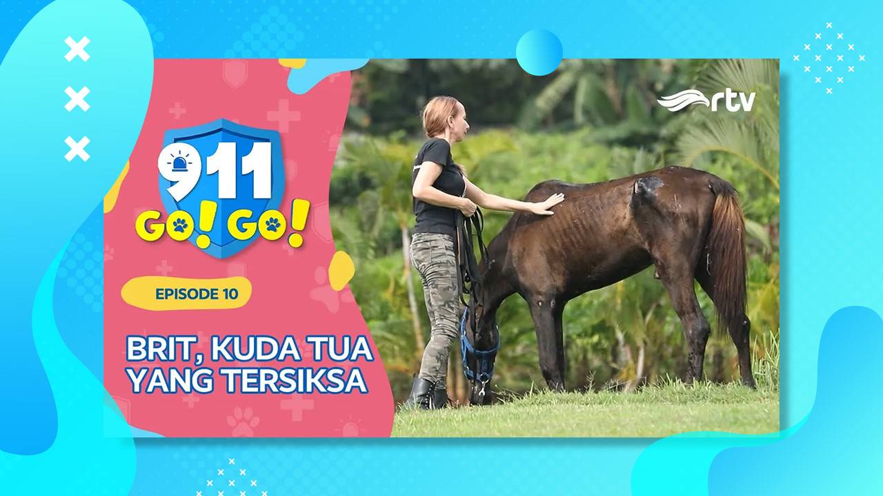 KUDA YANG DI TERLANTARKAN | 911 GO GO RTV