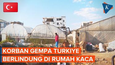 Rumah Kaca Jadi Tempat Berlindung Warga Turkiye