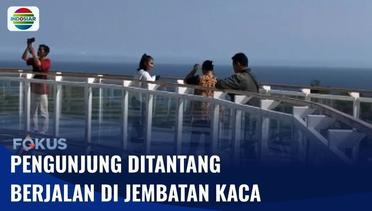 Wisata Jembatan Kaca di Yogyakarta, Suguhkan Pemandangan Pantai yang Memukau! | Fokus