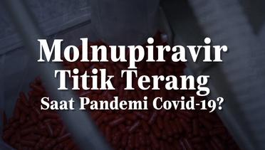 Molnupiravir, Titik Terang Saat Pandemi Covid-19?