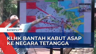 KLHK Bantah Asap Karhutla di Sumatera Berdampak Hingga ke Malaysia dan Singapura
