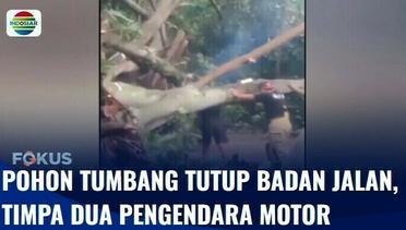 Pohon Tumbang Tutup Badan Jalan, Timpa Dua Pengendara Sepeda Motor | Fokus