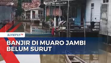 Sudah Tujuh Pekan Banjir di Muaro Jambi Tak Kunjung Surut