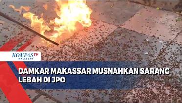 Damkar Makassar Musnahkan Sarang Lebah Di JPO