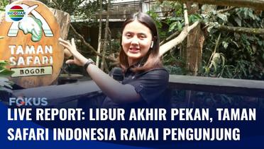 Live Report: Taman Safari Indonesia Didatangi Banyak Pengunjung Untuk Liburan Akhir Pekan | Fokus