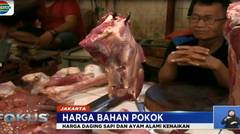 Jelang Ramadan, Harga Daging di Ibu Kota Melonjak - Fokus  