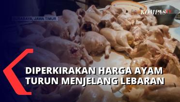 Harga Daging Ayam Mulai Turun, Diperkiran Akan Naik Lagi Saat Lebaran