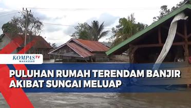 Satu Rumah Warga Hanyut Terseret Banjir di Luwu Utara
