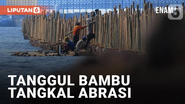 Turap Bambu Pencegah Abrasi di Pesisir Bekasi