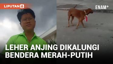Pria di Bengkalis Riau Ditangkap gegara Pasang Bendera Merah Putih di Leher Anjing
