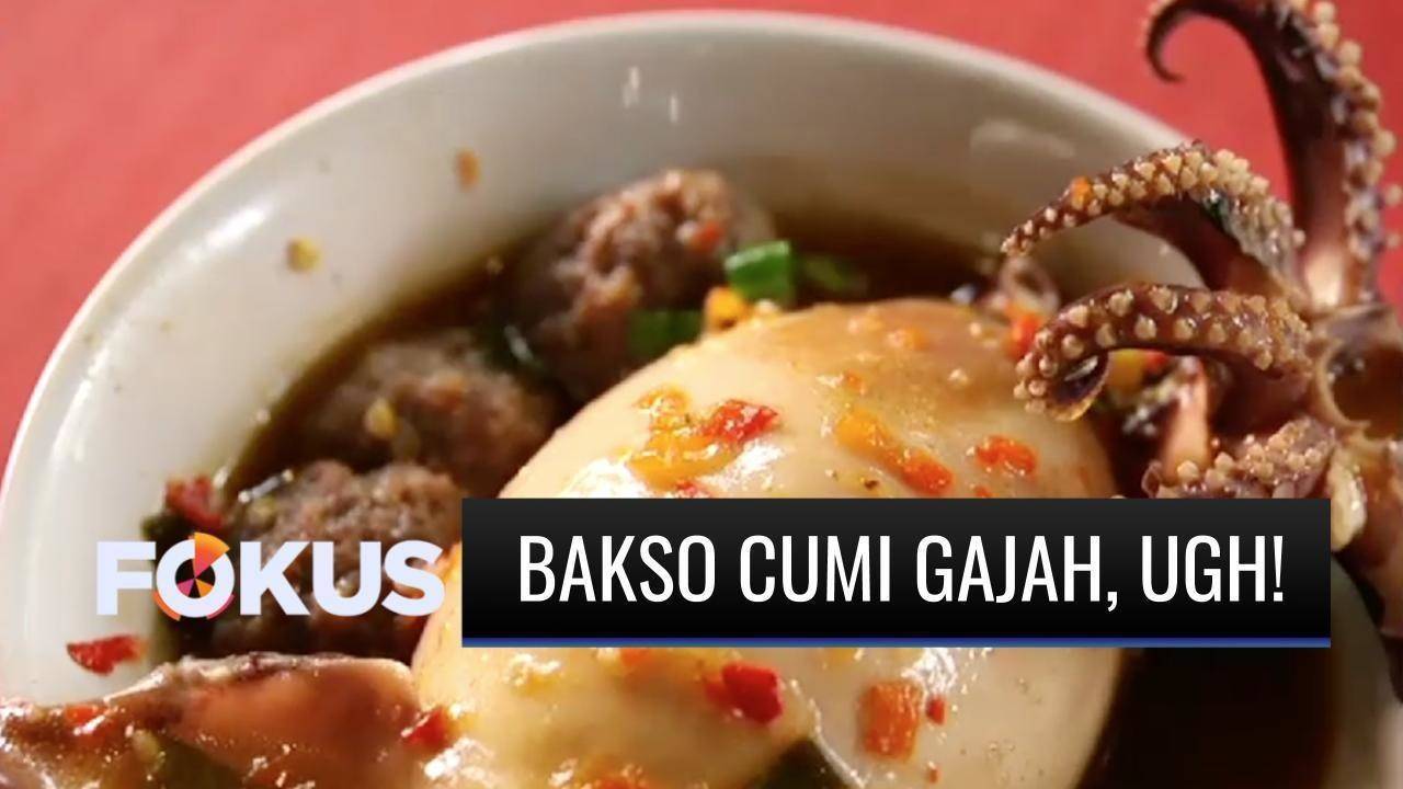 Viral Bakso Cumi Gajah Di Depok Pernah Coba Fokus Indosiar Vidio