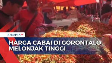 Harga Cabai di Pasar Tradisional Andalas Kota Gorontalo Tembus Rp 140 Ribu Per Kilogram