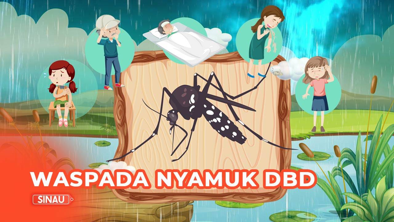Awas, Jangan Sampai Kena Gigit Nyamuk DBD - Kompas TV | Vidio