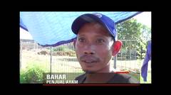 Penertiban Pedagang di Papua