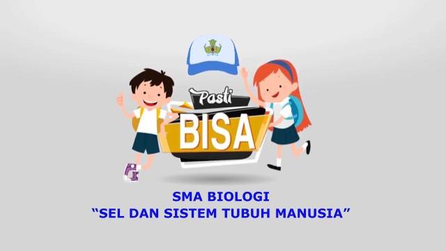 SMA Biologi | Sistem Sirkulasi Tubuh Manusia | Pasti Bisa