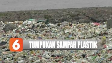 Petugas Kebersihan Angkut Tumpukan Sampah Plastik di Pantai Cilincing - Liputan 6 Siang 