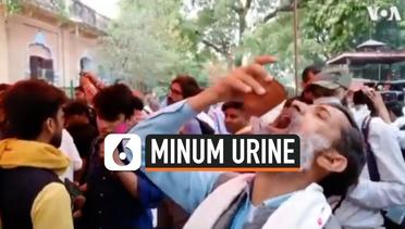 Ratusan Warga India Minum Urine Sapi demi Cegah Corona 
