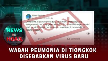 Virus Baru Penyebab Wabah Pnemonia Di China | NEWS OR HOAX