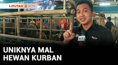 Jelang Iduladha, Ada Mal Hewan Kurban di Depok | Liputan 6