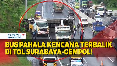 Diduga Sopir Ngantuk, Bus Pahala Kencana Terbalik di Ruas Tol Surabaya Gempol!