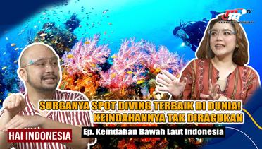 Indonesia Disebut Sebagai Surganya Spot Diving Terbaik di Dunia! | Hai Indonesia