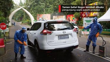 Taman Safari Bogor kembali dibuka, pengunjung wajib patuhi protokol