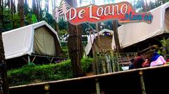 De Loano Glamping dan Kebun Teh Nglinggo | Wisata Purworejo dan Wisata jogjakarta
