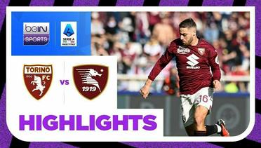 Torino vs Salernitana - Highlights | Serie A 2023/2024