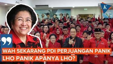Megawati Bingung PDI-P Disebut Sedang Panik