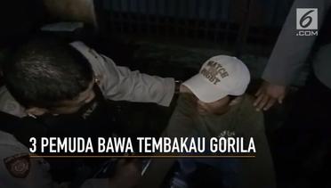 Bawa Tembakau Gorila, 3 Pemuda Kramat Jati Diciduk