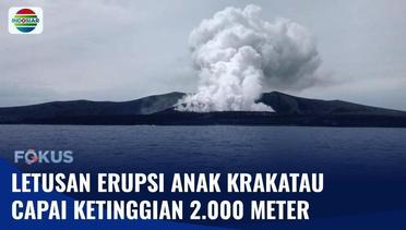 Gunung Anak Krakatau Alami 7 Letusan, Ketinggian Abu Vulkanik Capai 2.000 Meter | Fokus