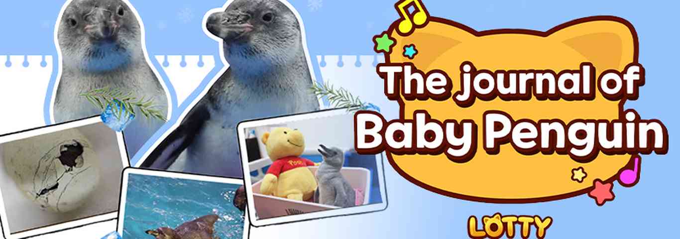 Lotty Friends - The journal of Baby penguin 