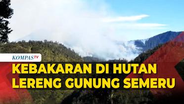 Penampakan Kebakaran Hutan Lereng Gunung Semeru, Termasuk Oro Oro Ombo