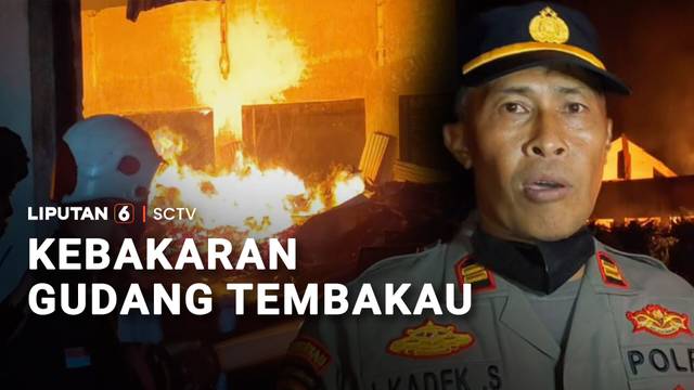 Gudang Tembakau di Bondowoso Terbakar, Mobil Damkar Hingga Water Canon Dikerahkan | Liputan 6