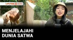 Menjelajahi Dunia Satwa | Liputan 6