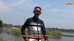 Lagu Lampung Terbaru 2019  RAGAH TUDAU Voc Albi Erlangga