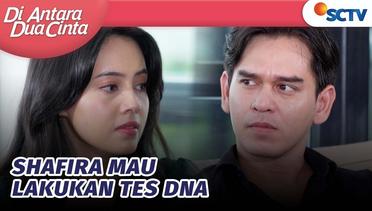 Sudah Bulat, Shafira Akan Lakukan Tes DNA sama Dania | Di Antara Dua Cinta Episode 250