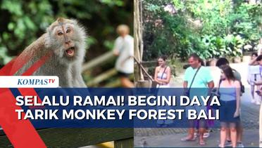 Selalu Ramai Dikunjungi, Begini Sensasi Berlibur ke Monkey Forest di Ubud Bali