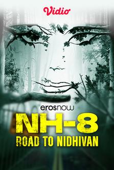 NH-8 Road to Nidhivan