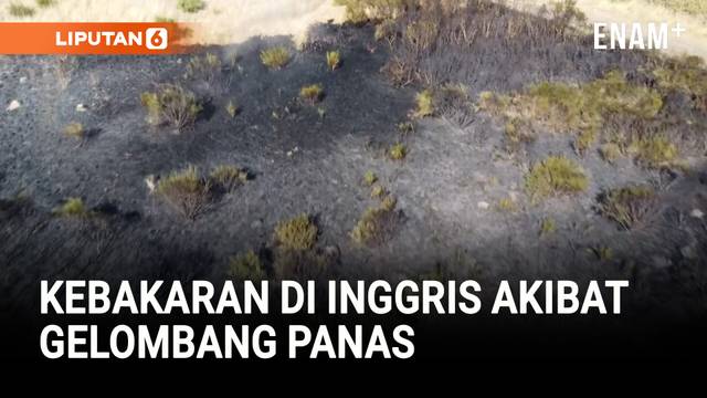 Gelombang Panas Picu Kebakaran Besar di London