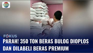 Polda Banten Ringkus 7 Tersangka Pengoplos, 350 Ton Beras Premium Palsu Disita | Fokus