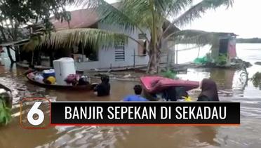 Banjir Sepekan di Sekadau Kalimantan Barat, 2.500 Kepala Keluarga Terdampak | Liputan 6