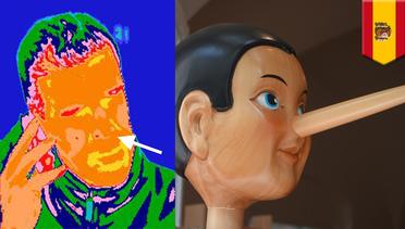 Kebalikannya dari Pinokio, studi membuktikan hidung menciut ketika berbohong - TomoNews