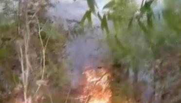 Titik Api Akibat Kebakaran Lahan di Maluku Meningkat