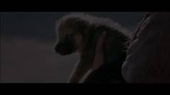 Wolf Totem Trailer